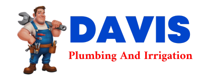 Trusted plumber in RIBERA